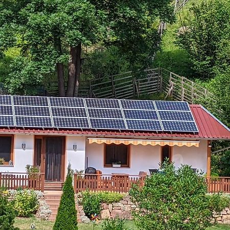 Ferienhaus Manoury Am Klosterbrunnen Валдек Екстериор снимка