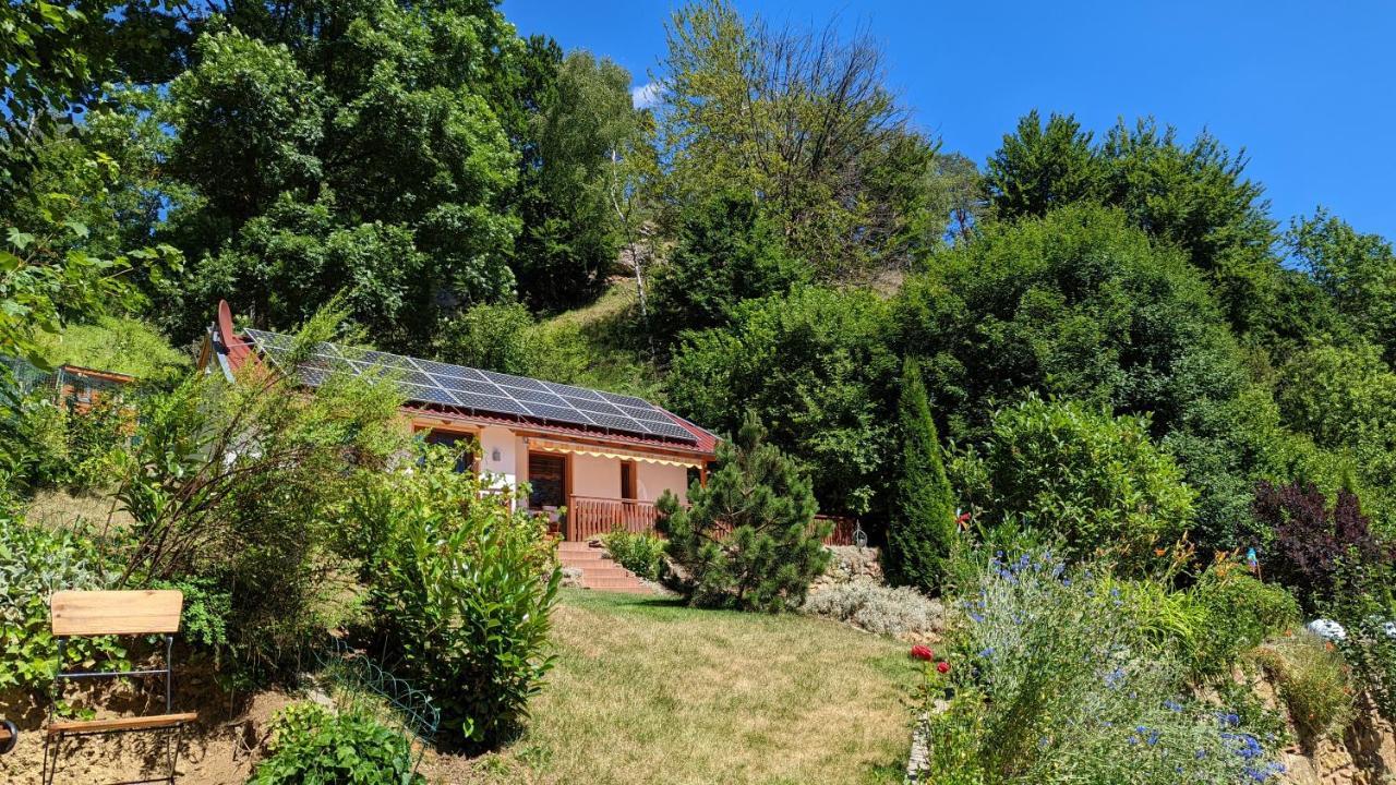 Ferienhaus Manoury Am Klosterbrunnen Валдек Екстериор снимка